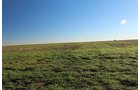 TRACT 4 - REAL ESTATE & MINERAL AUCTION - 640+/- ACRES & PRODUCING MINERALS OFFERED IN 8 TRACTS IN MORTON COUNTY, KANSAS